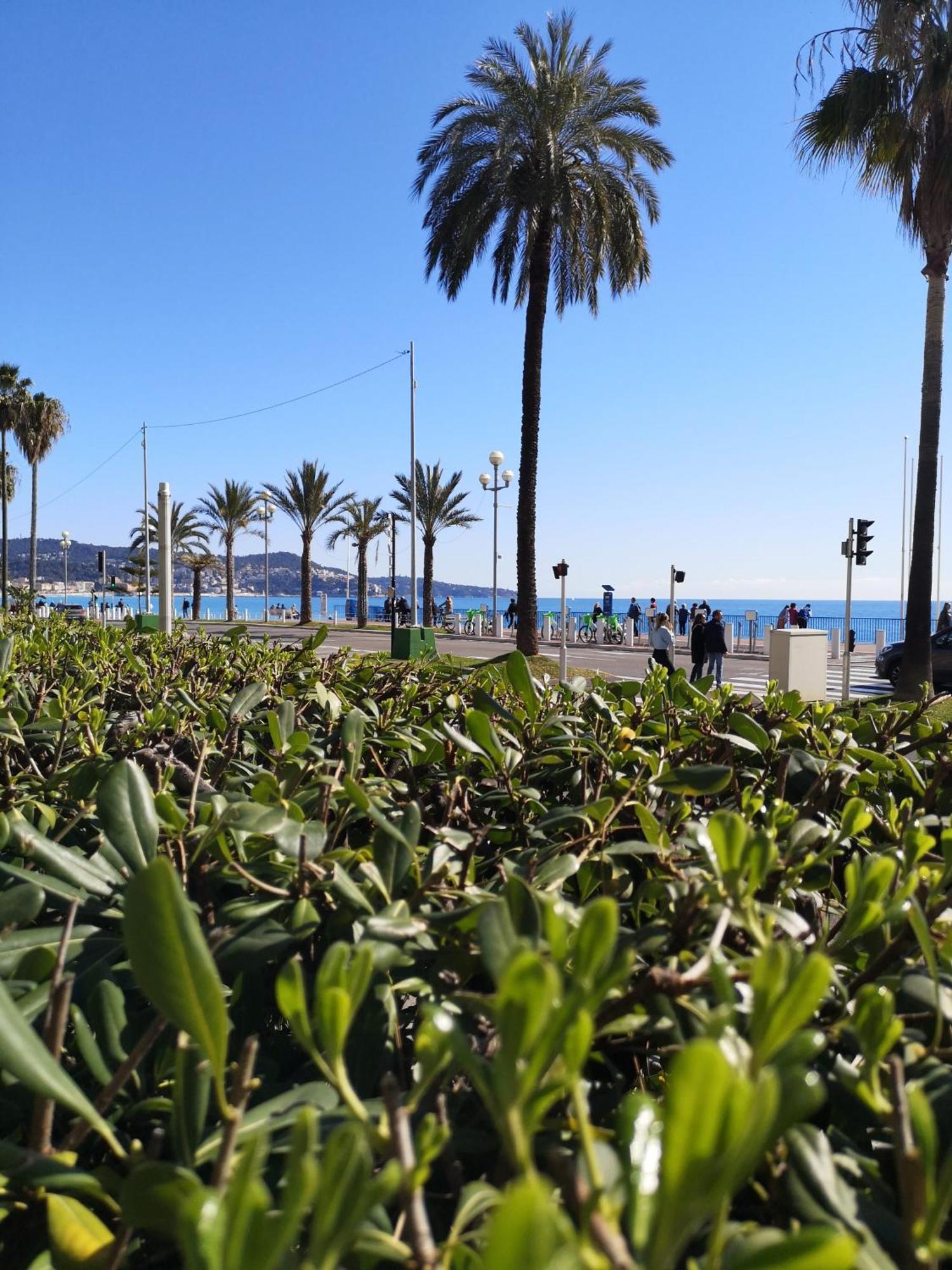 Garden Atlantide Promenade Apartment Ница Екстериор снимка