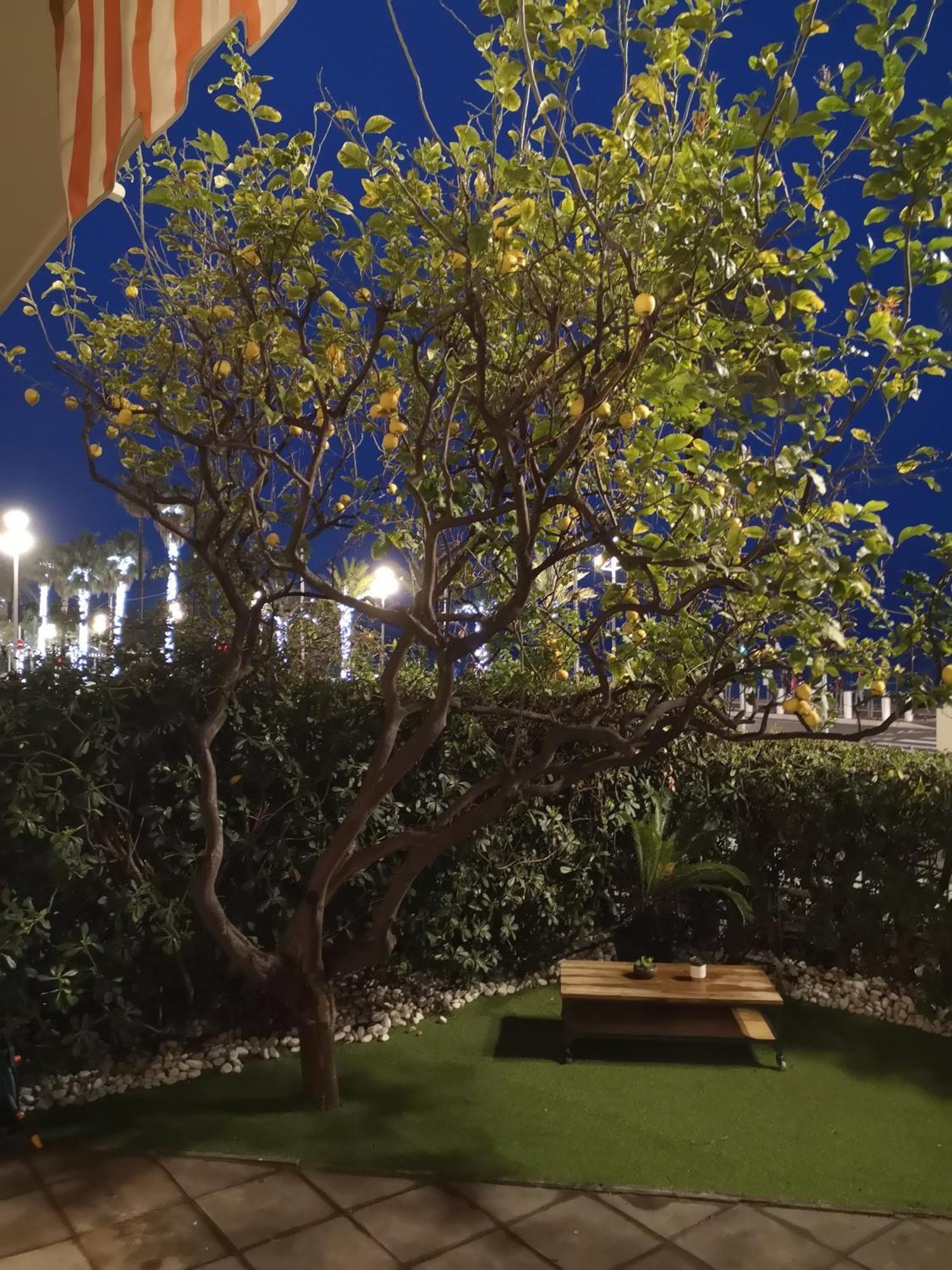 Garden Atlantide Promenade Apartment Ница Екстериор снимка