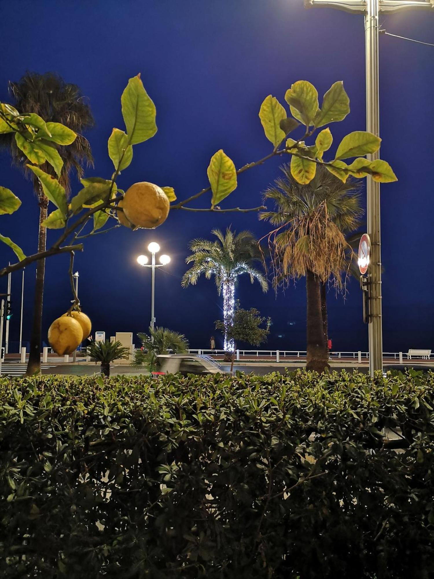 Garden Atlantide Promenade Apartment Ница Екстериор снимка