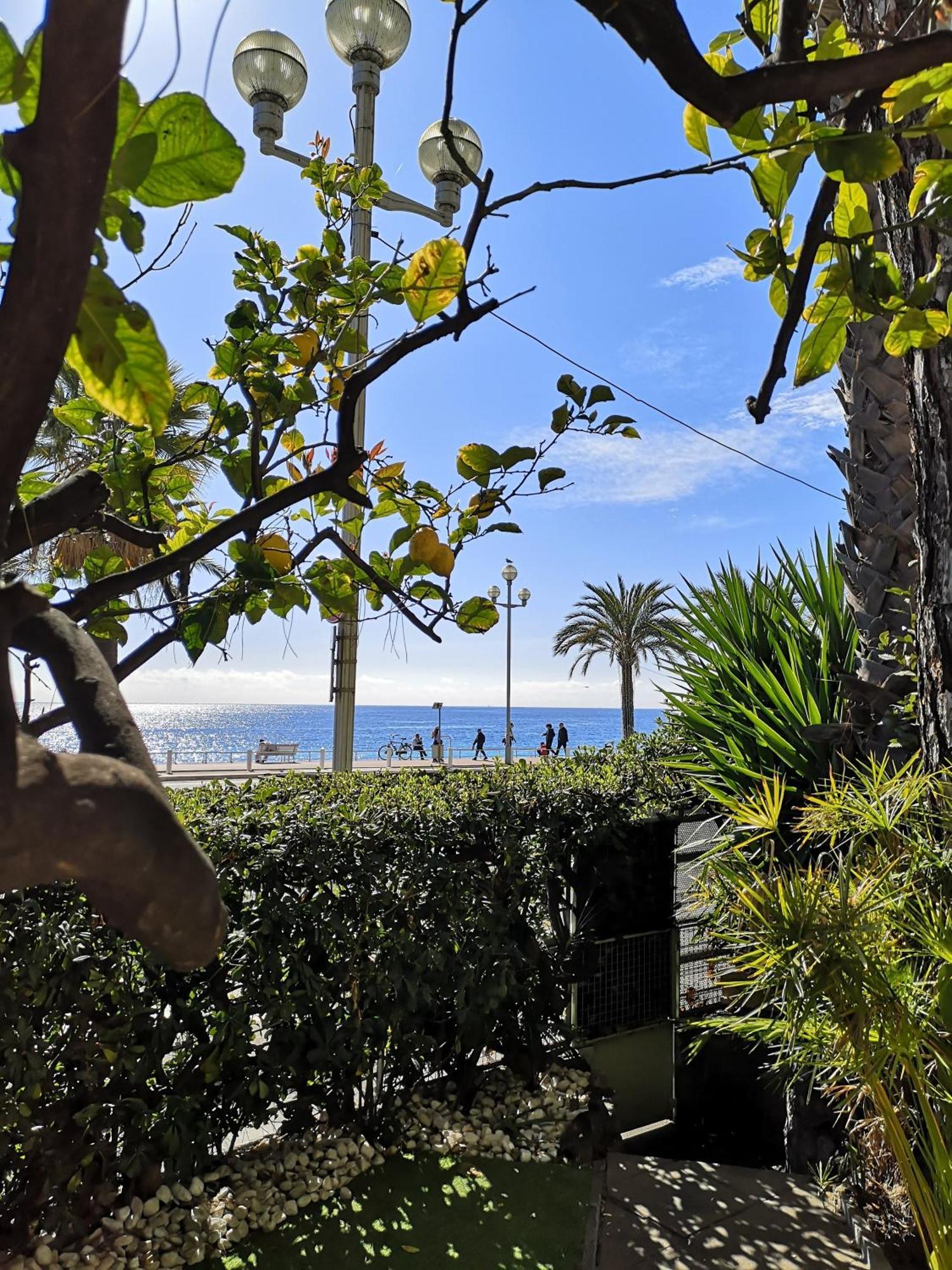 Garden Atlantide Promenade Apartment Ница Екстериор снимка
