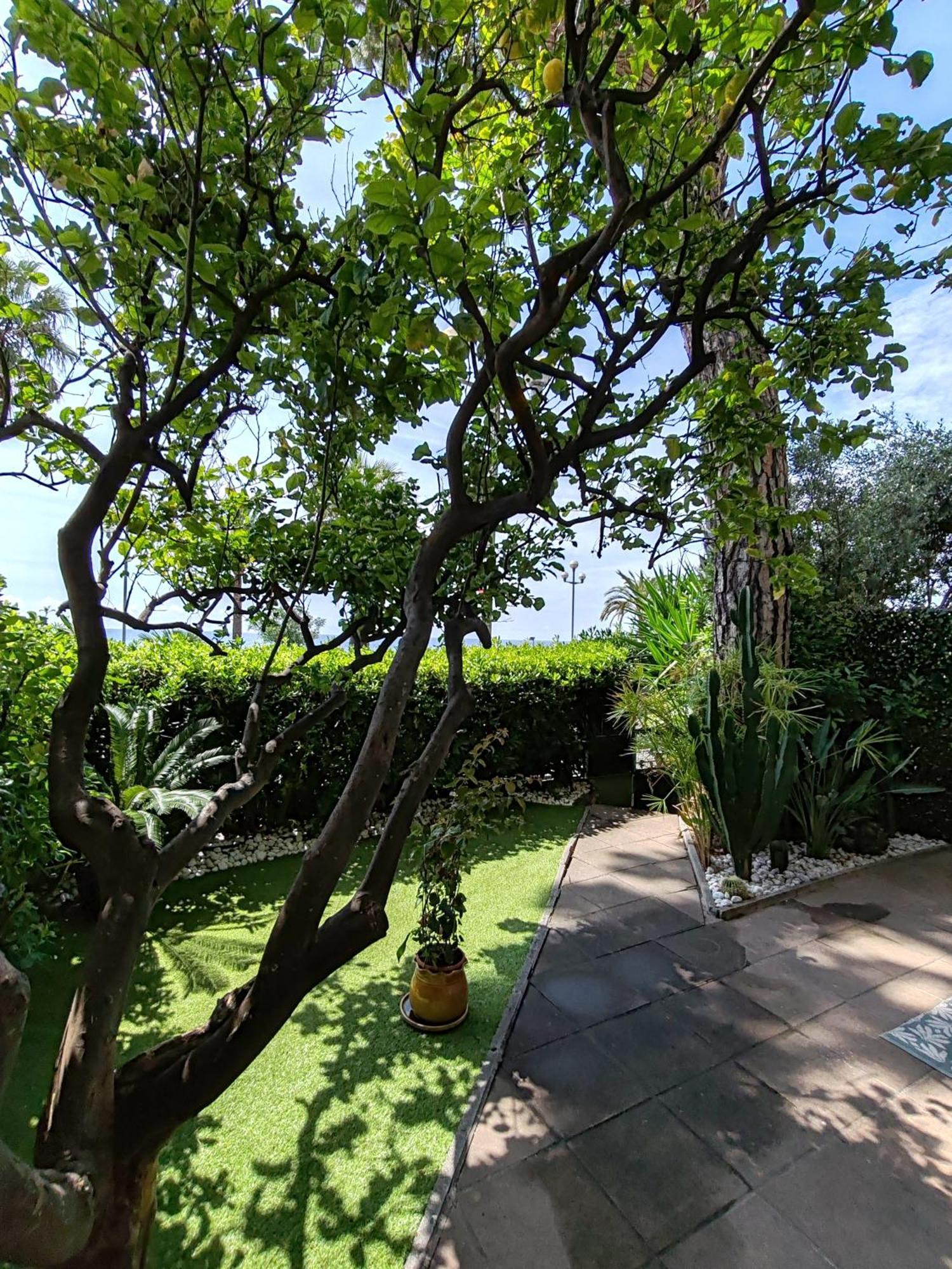 Garden Atlantide Promenade Apartment Ница Екстериор снимка